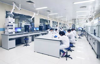 跨界引領 齊魯制藥李燕當選中國醫(yī)藥企業(yè)管理協(xié)會輪值會長，彰顯行業(yè)管理智慧新融合